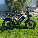 Expedition AWD e bike green